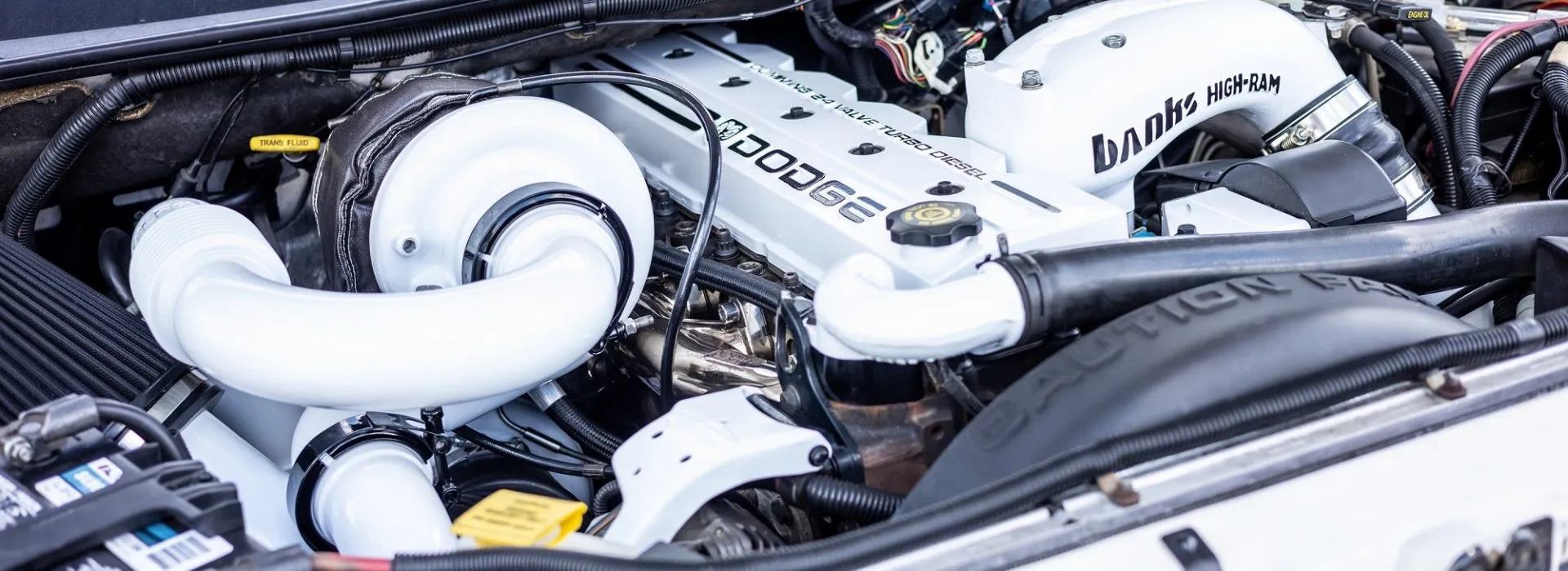 Dodge