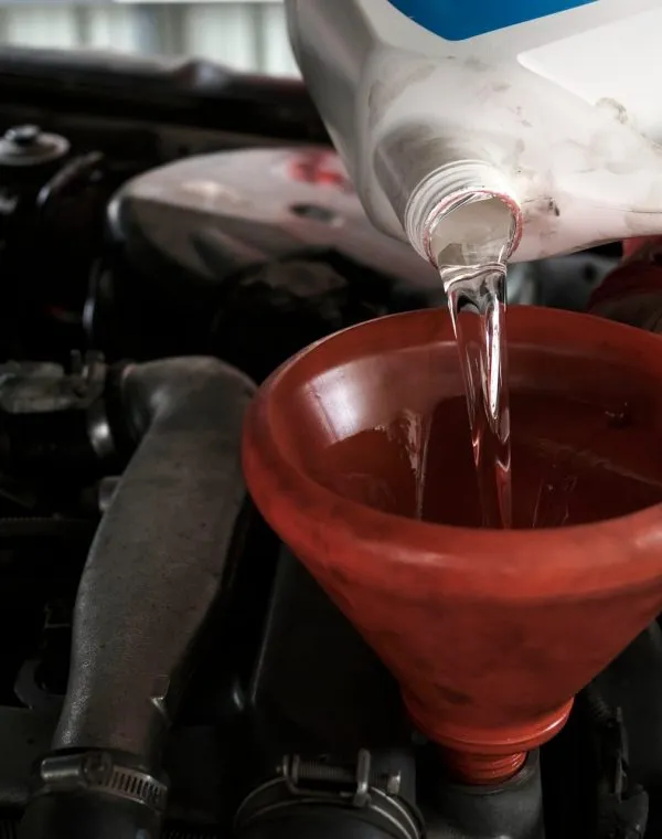 Engine Flush 5