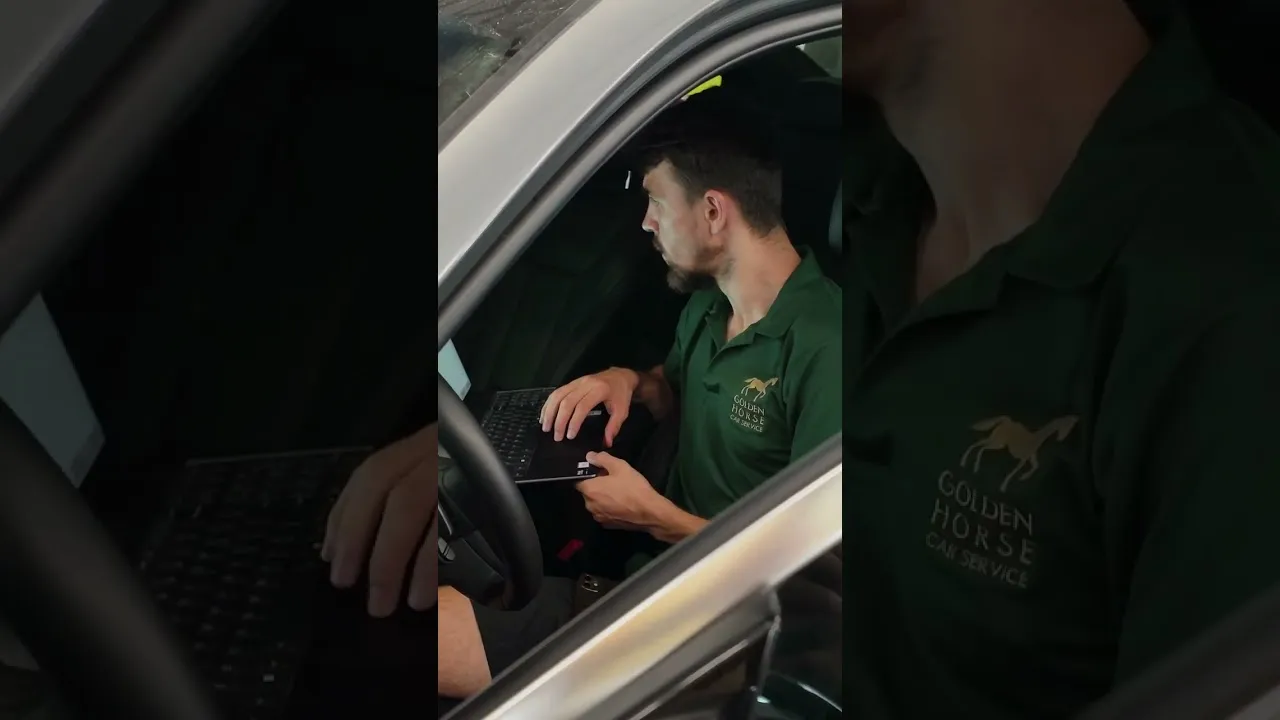 Предварительное изображение